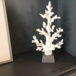 White Coral Home Accent